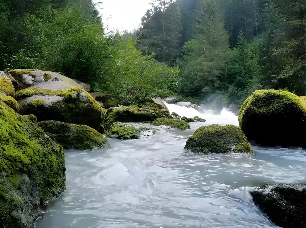 River, Lakes & Springs